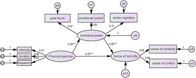 The mediating role of psychological resilience in the relationship between physical exercise and sense of security among left-behind junior high school students: multi-group comparative analysis of only children and children with siblings